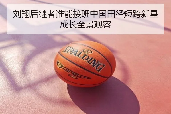 刘翔后继者谁能接班中国田径短跨新星成长全景观察