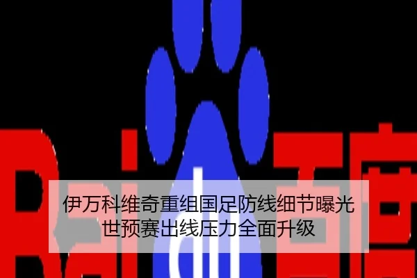 伊万科维奇重组国足防线细节曝光 世预赛出线压力全面升级